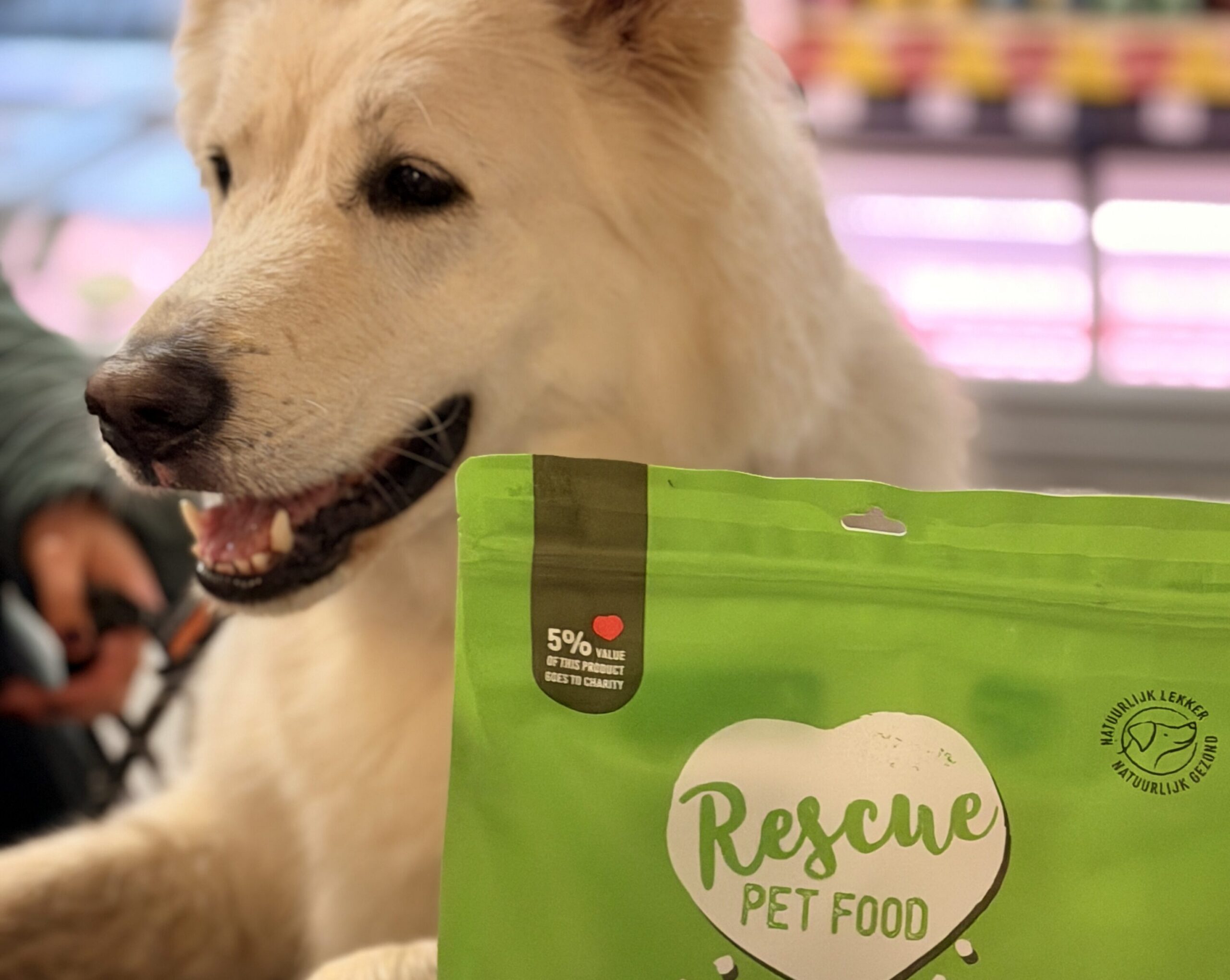 Hond aan toonbank van Rescue Pet Shop