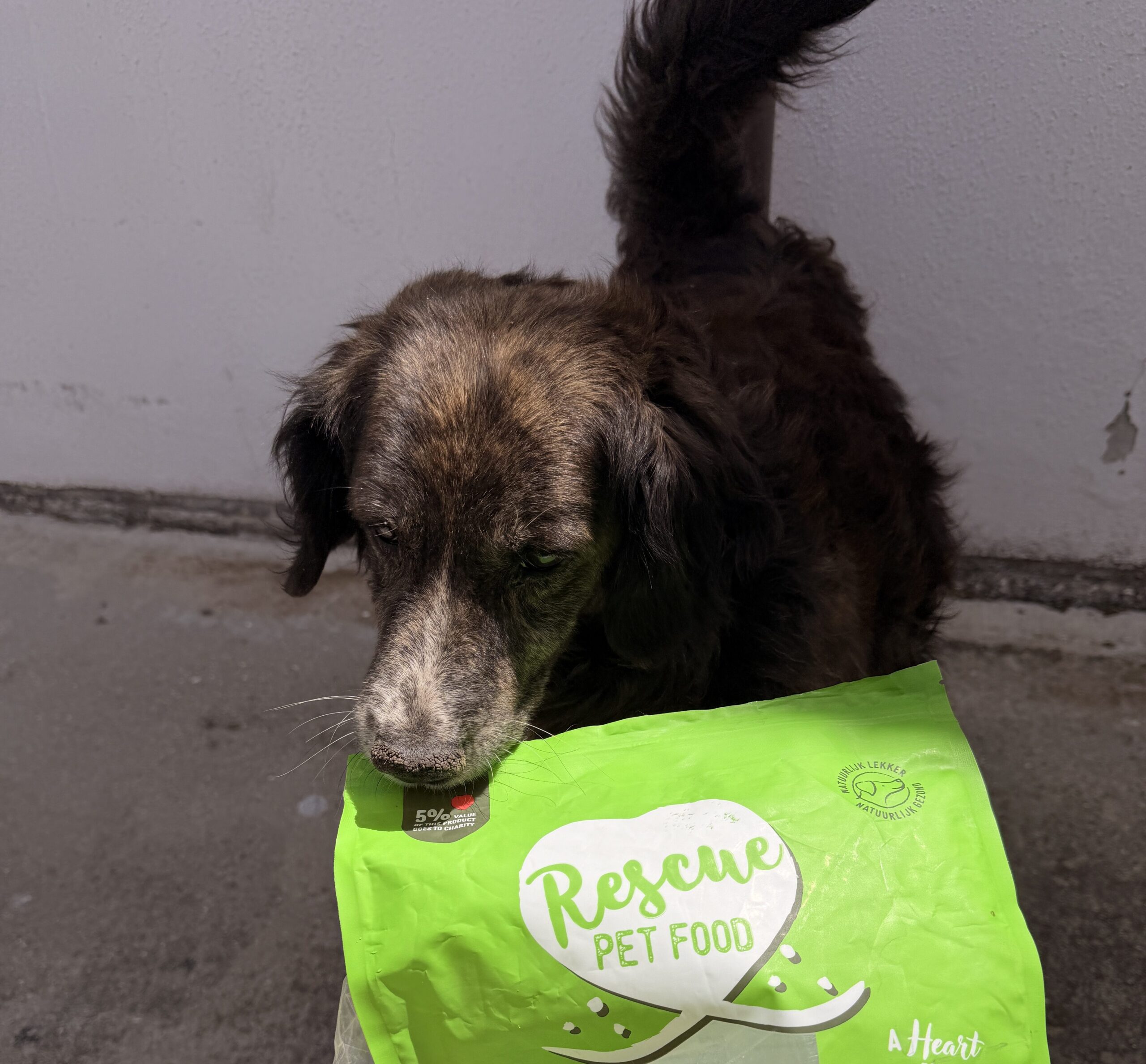 Straathond die in een Rescue Pet Food zal bijt