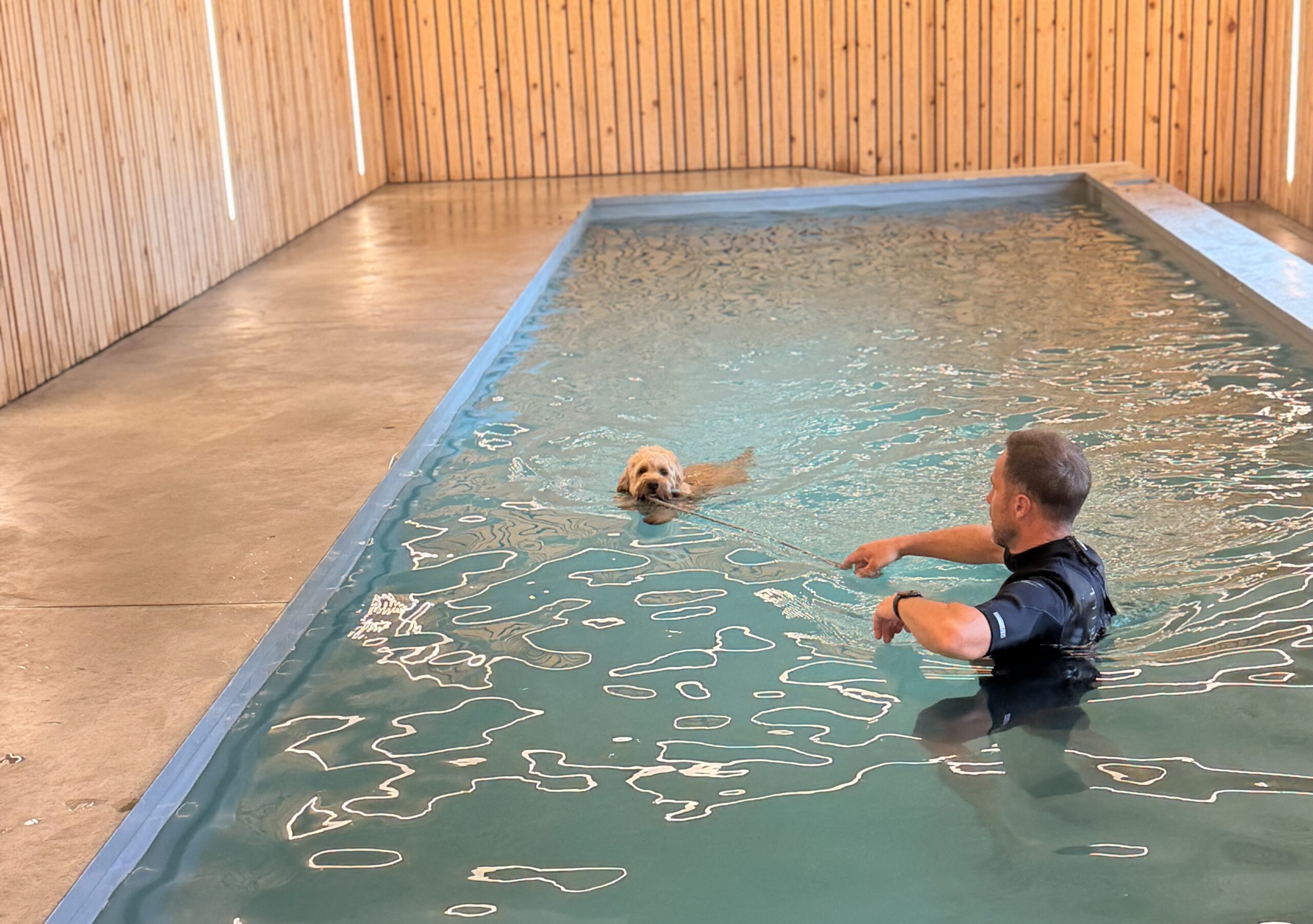 Hond in hondenzwembad bij Hof Daalder